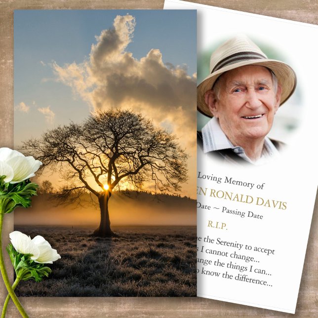 Memorial Funeral Lone Tree Prayer Sympathy Cards (sunset, sunrise, tree, celebration of life, in loving memory of, prayer cards for bereavement)