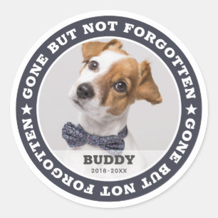 Memorial Quote Modern Pet Photo Sympathy Classic Round Sticker