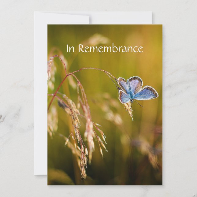 Memorial Service Invite Blue Garden Butterfly  (Front)