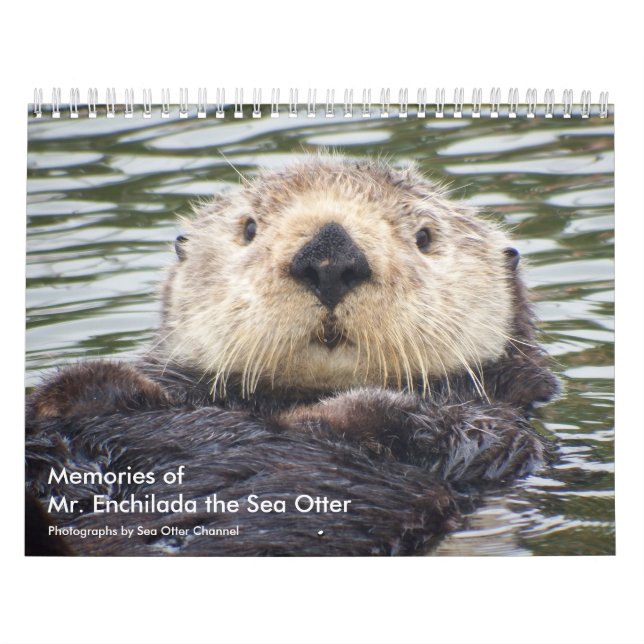 Memories of Mr.Enchilada Calendar (Cover)