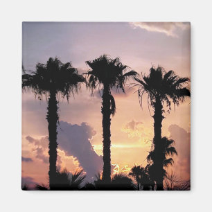 Memories of Palm Trees at Sunset   Limassol Cyprus Magnet