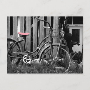 Memories Postcard