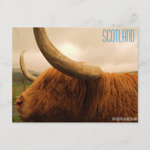 memory 2 216, SCOTLAND, Photography by Kirsten ... Postcard