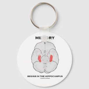 Memory Begins In The Hippocampus (Psychology) Key Ring