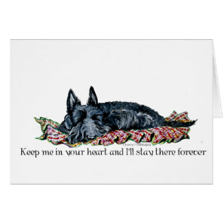 Memory of Scottish Terrier