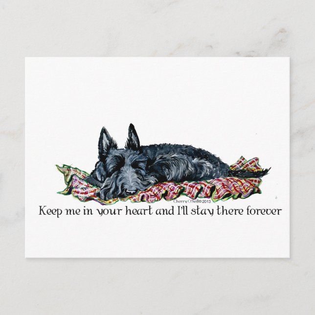 Memory of Scottish Terrier Postcard (Front)