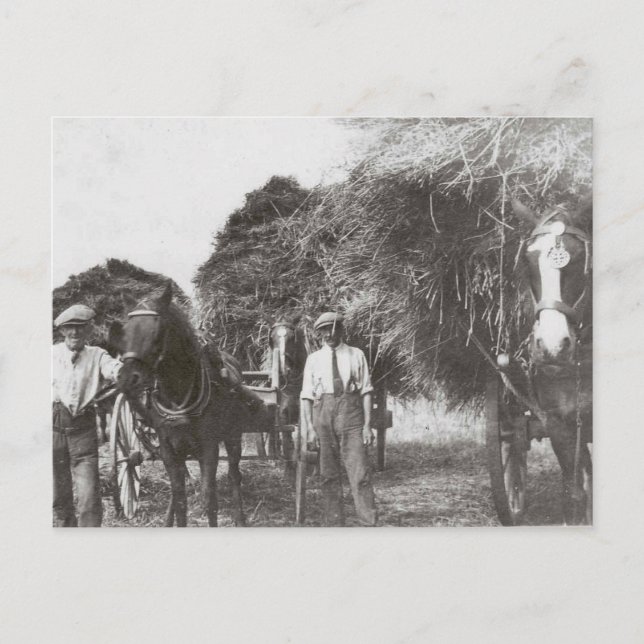 Men At Work Vintage Black & White - Postcard (Front)