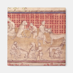 Men caring for hunting dogs magnet