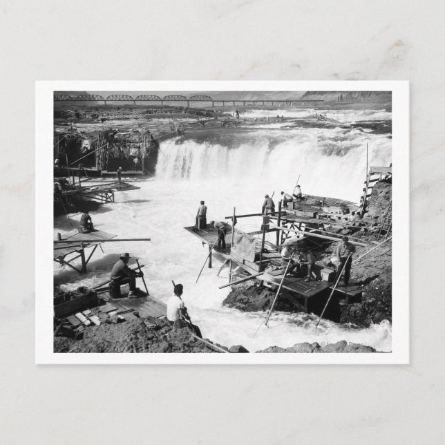 Men fishing at Celilo Falls Photograph Postcard (Front)