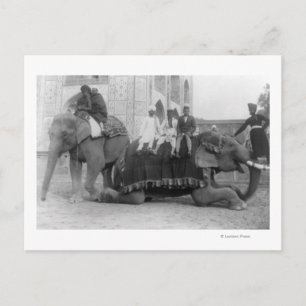Men Riding Elephants in India PhotographIndia Postcard