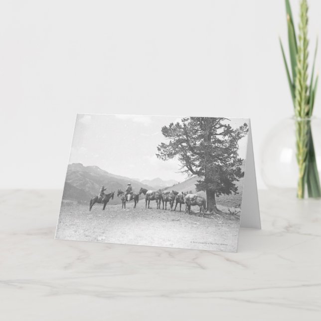 Men with packhorses looking over a hill card (Front)