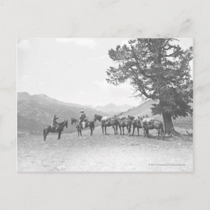 Men with packhorses looking over a hill postcard