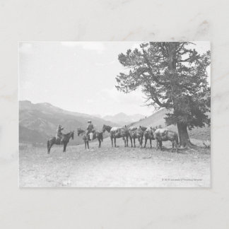 Men with packhorses looking over a hill postcard