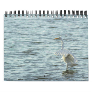 Menagerie Calendar