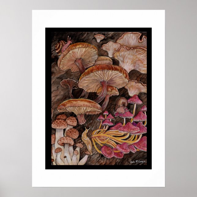 Menagerie of Mushrooms Poster (Front)
