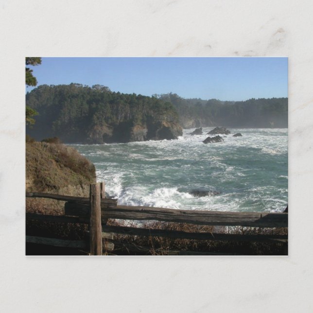 Mendocino Coast, CA Postcard (Front)
