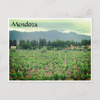 mendoza andes vineyard postcard
