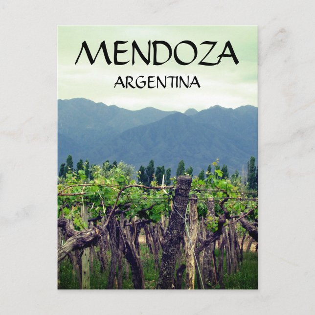 mendoza argentina vines postcard (Front)