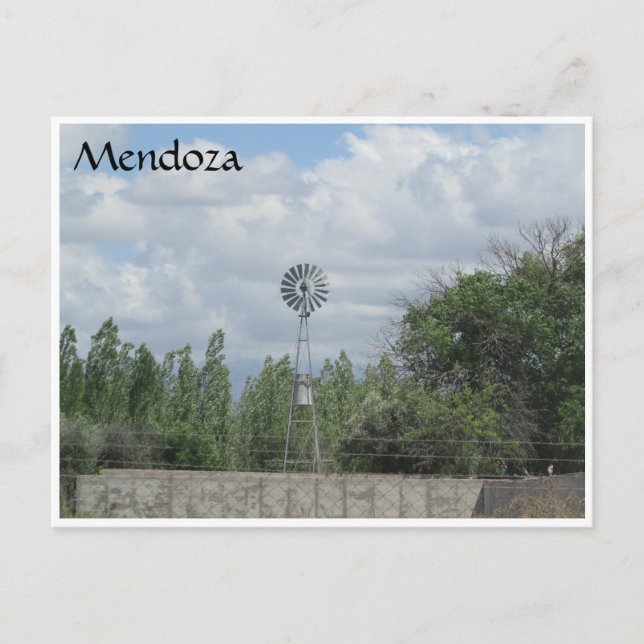 mendoza windmill postcard (Front)