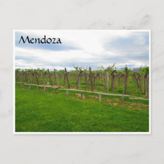 mendoza winery grapes postcard