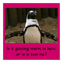Menopausal Penguin