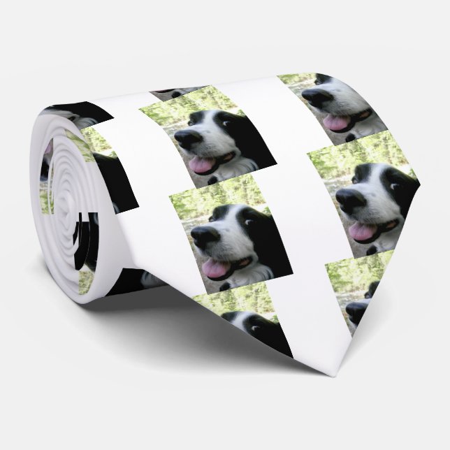 Men's Border Collie Silk Tie (Rolled)