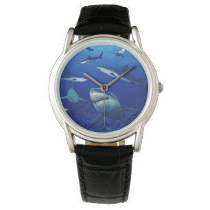 Mens Classic Watch/Sharks Watch