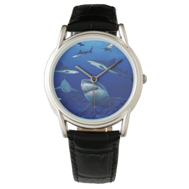 Mens Classic Watch/Sharks Watch (Front)