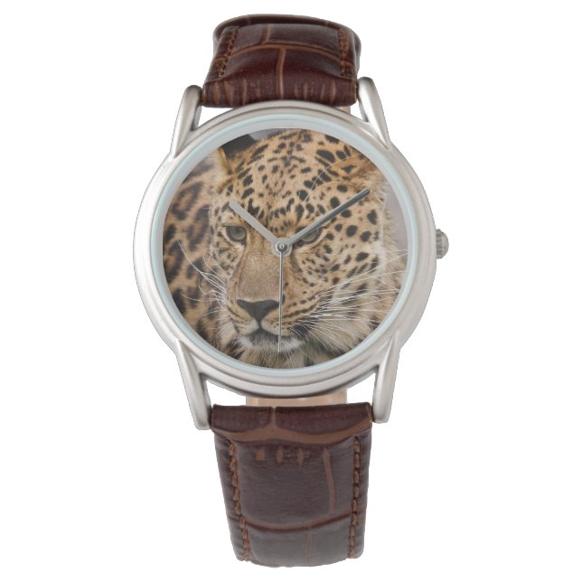 Mens Classic Watch/Wildlife Leopard Watch (Front)