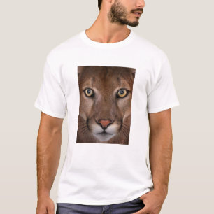 Men's cougar t-shirt