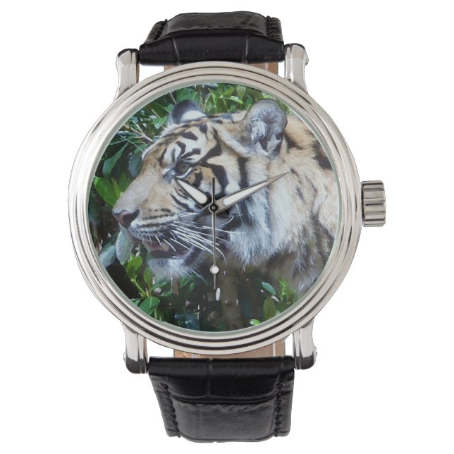 Men's leather Tiger watch (Front)