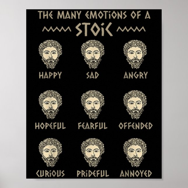 Mens Stoicism Quote Marcus Aurelius Philosophy Fun Poster (Front)