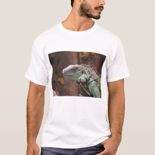 Mens T Shirt with colourful Iguana Lizard