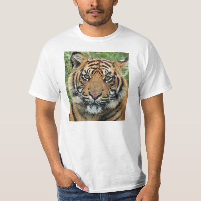 Mens Tiger T-shirts (Front)