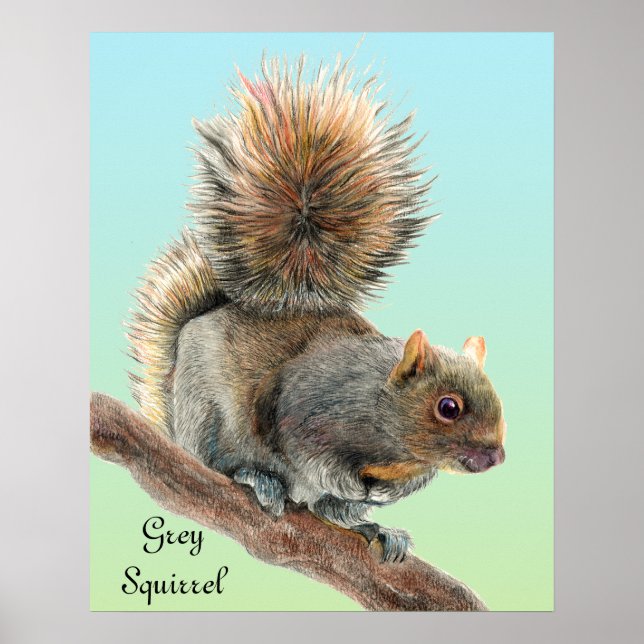 Mens Watercolor Wildlife Gray Squirrel Watch Poster (Front)