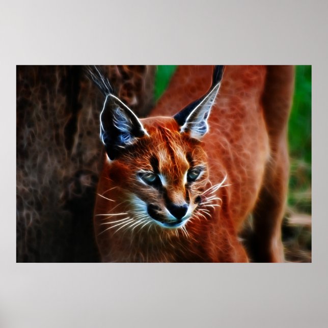 Meooow Poster (Front)