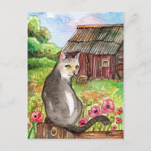 Meow at the Barn Postcard (Front)