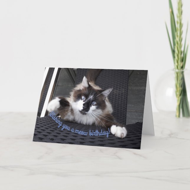 Meow birthday! card (Front)