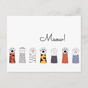 MEOW! Cat Paws Pet Cats Tiger Colourful Fun Postcard