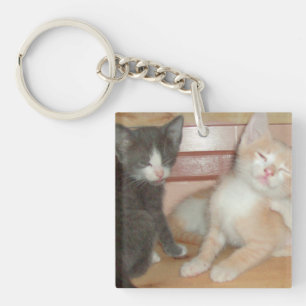 Meow Cats 10 Square Acrylic Keychain