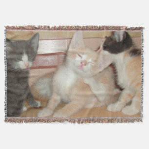 Meow Cats 10 Throw Blanket