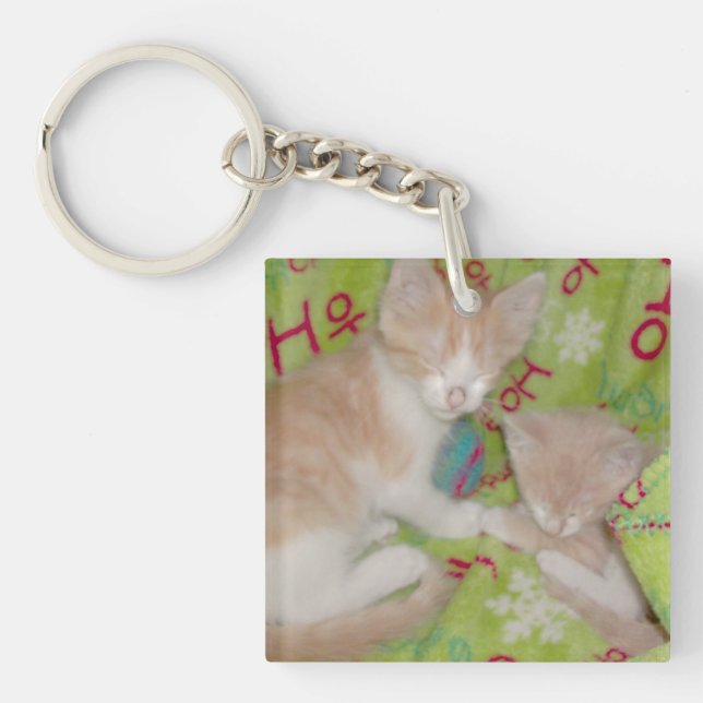 Meow Cats 12 Double Sided Acrylic Key Chain (Front)