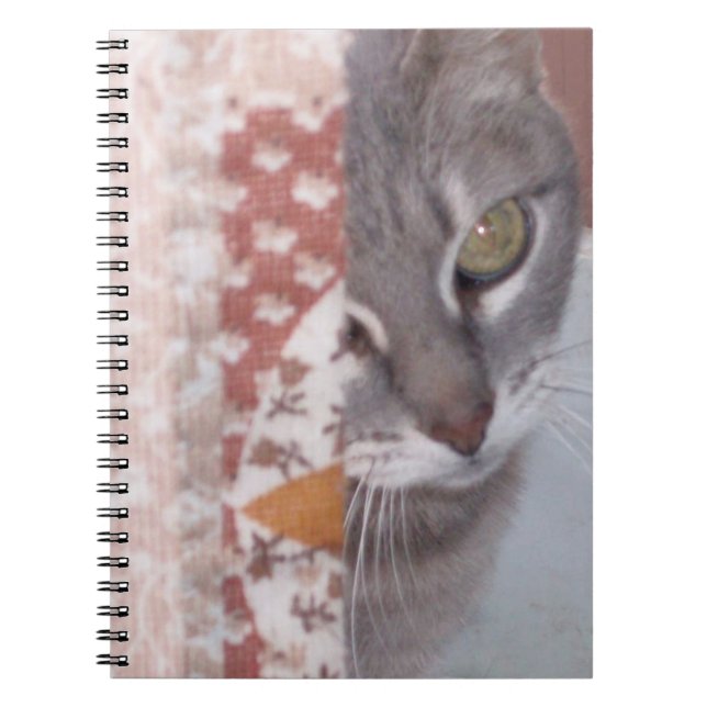 Meow Cats 13 Notebook (Front)