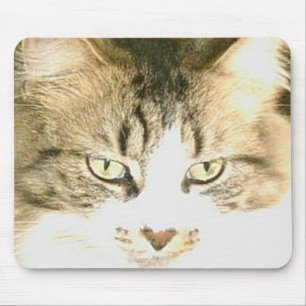Meow Cats 14 Mousepad