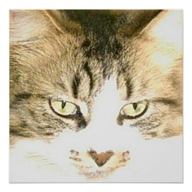 Meow Cats 14 Poster (Front)