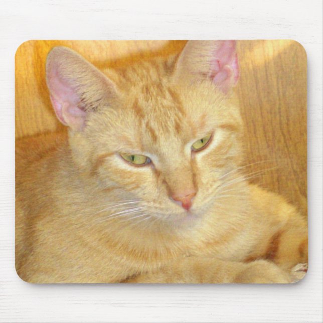 Meow Cats 15 Mousepad (Front)