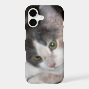 Meow Cats 17 iPhone Cases