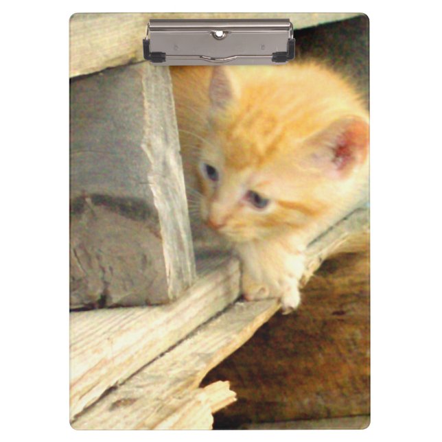 Meow Cats 1 Clipboard (Front)