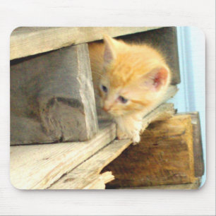 Meow Cats 1 MousePad