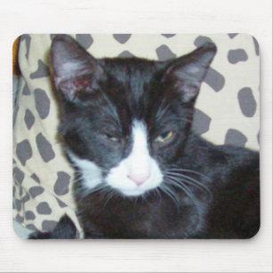 Meow Cats 20 Mousepad